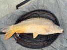 IMG_5767.jpeg