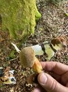 IMG_1606.jpeg