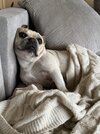 IMG_2678.jpeg
