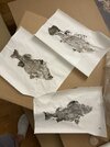 IMG_4146.jpeg