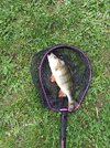 IMG_20250913_181021.jpg