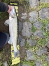 IMG_8187.jpeg