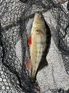 IMG_2080.jpeg