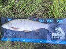 IMG_20250914_184429.jpg