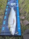 IMG_20250914_190848.jpg