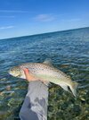 IMG_6206.jpeg