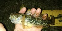 IMG_20250905_223054.jpg
