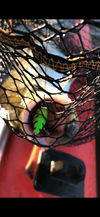 IMG_5038.png