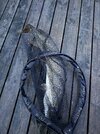 IMG_5734.jpeg