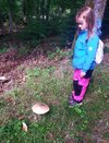 IMG_20250914_155529.jpg