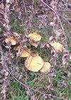 IMG_20250914_160504.jpg