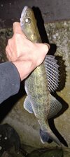 IMG_20250916_232148.jpg
