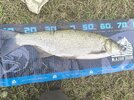 IMG_20250917_101823.jpg