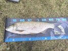 IMG_20250917_101119.jpg