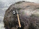 IMG_8582.jpeg