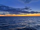 IMG_3716.jpeg