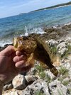 IMG_2606.jpeg