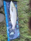 IMG_20250917_185626.jpg