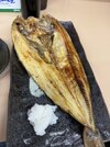 IMG_4621.jpeg