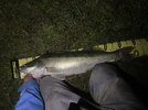 IMG_8434.jpeg