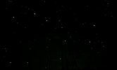 IMG_2552.jpeg