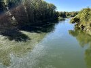 IMG_4572.jpeg