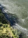 IMG_4573.jpeg