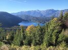 IMG_20250920_170237_652.jpg