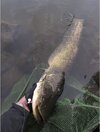 IMG_4051.JPEG
