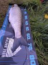 IMG_20250922_191612.jpg