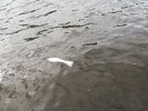 IMG_20250924_151141.jpg
