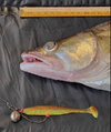 Offset10g_B500.jpg