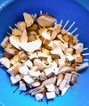 IMG_20250926_104952~2.jpg