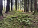 IMG_2080.jpeg
