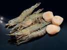 2 Shrimps Coquilles 250926.JPG