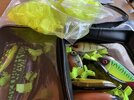 IMG_0798.jpeg