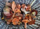IMG_20250928_121706_345.jpg