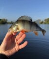 IMG_0545.jpeg