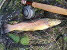 IMG_20250928_164123.jpg