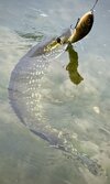 IMG_4633.jpeg
