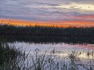 IMG_20250910_195654.jpg