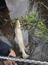 IMG_20250911_185505.jpg