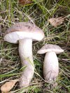 IMG_20250929_183107.jpg