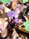 IMG_20250928_143223~2.jpg