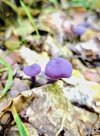 IMG_20250928_142325~3.jpg