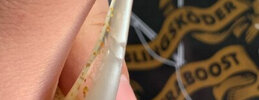 IMG_3792.jpeg