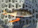 IMG_20250930_134348_688.jpg