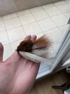 IMG_7063.jpeg
