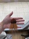 IMG_7064.jpeg