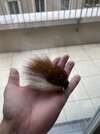 IMG_7065.jpeg